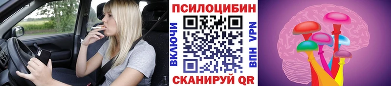 Псилоцибиновые грибы мицелий Унеча